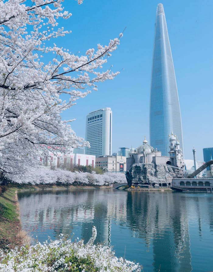 Profitez d'une journée de divertissement à Lotte World, le plus grand parc à thème intérieur du monde, avec des attractions pour toute la famille. Une étape incontournable de notre circuit touristique en Corée du Sud, une des attractions emblématiques de Séoul, offrant des vues à couper le souffle sur la ville. Parfait pour une exploration urbaine lors de notre voyage convivial en Corée du Sud avec Evans Becker et go Corée.