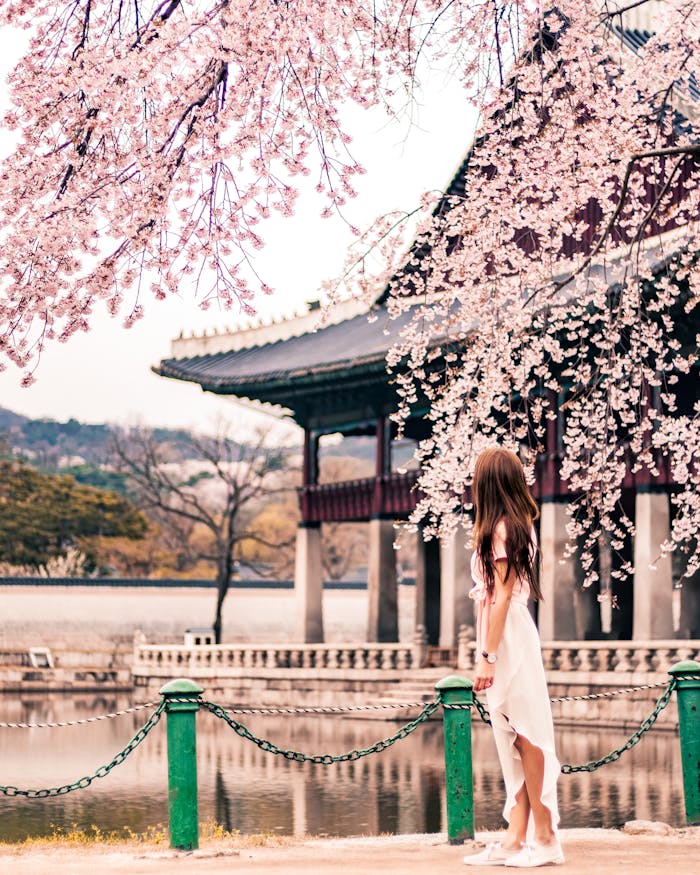 Explorez le palais Gyeongbokgung, l'un des plus grands et des plus anciens palais royaux de Séoul, Corée du Sud. Une étape incontournable lors de notre voyage en Corée du Sud avec Evans Becker. Découvrez plus sur Go Corée