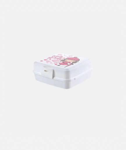 2-Compartment Lunch Box – Printed Design